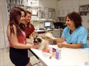 állatorvosi együttes kezelés