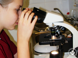 Citológiai minta mikroszkópos vizsgálata